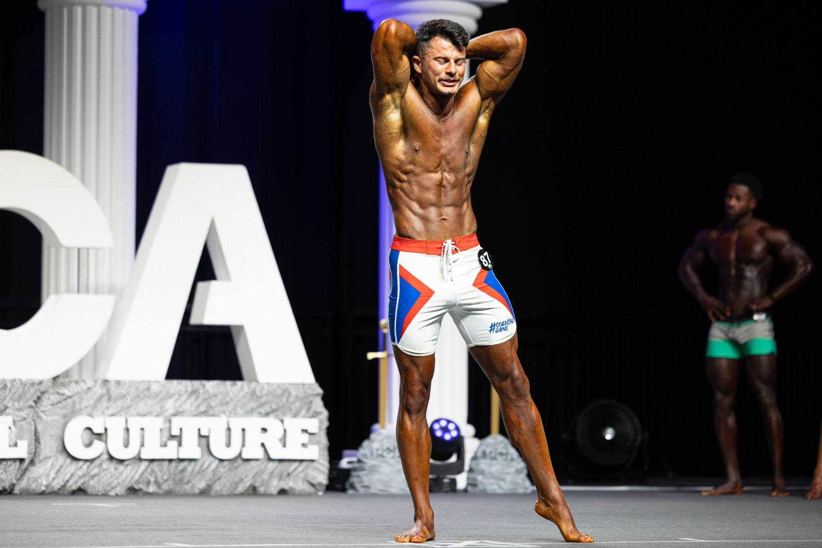 King James Boardshorts